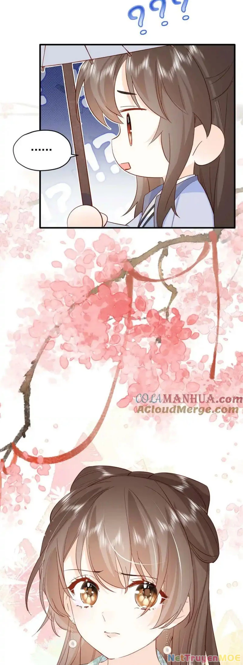 Thiều Quang Mạn Chapter 155 - 31