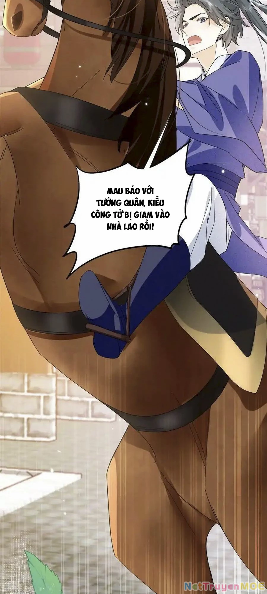 Thiều Quang Mạn Chapter 157 - 5