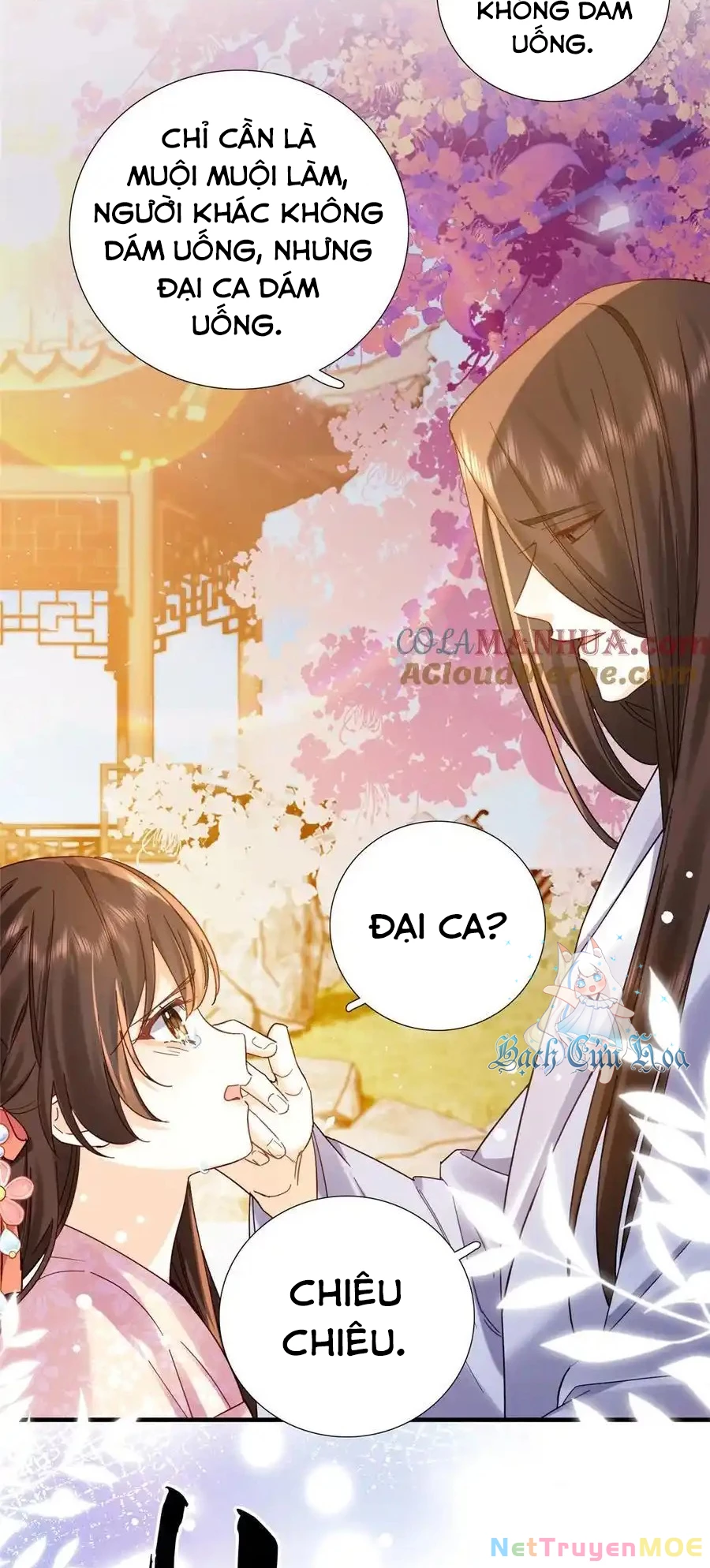 Thiều Quang Mạn Chapter 161 - 22