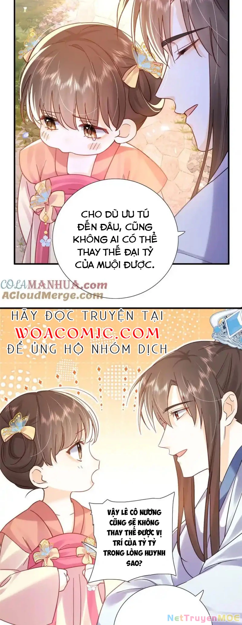 Thiều Quang Mạn Chapter 162 - 4