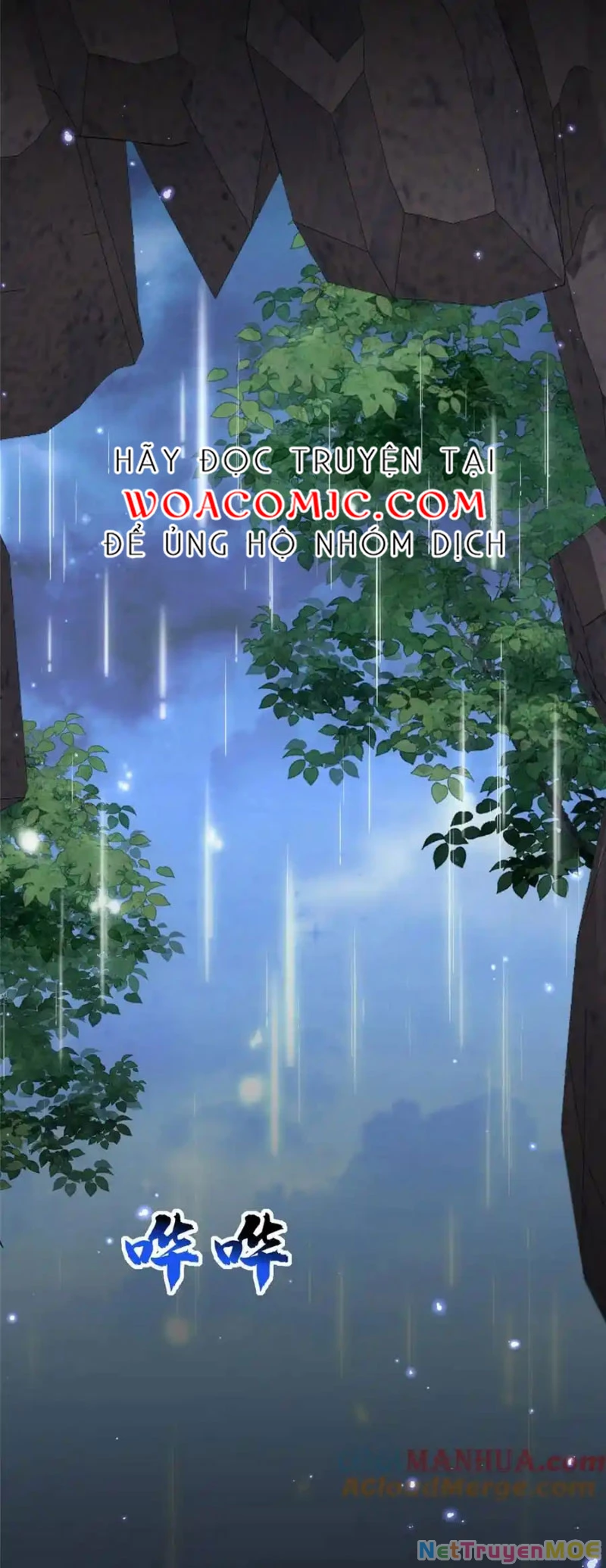 Thiều Quang Mạn Chapter 163 - 15