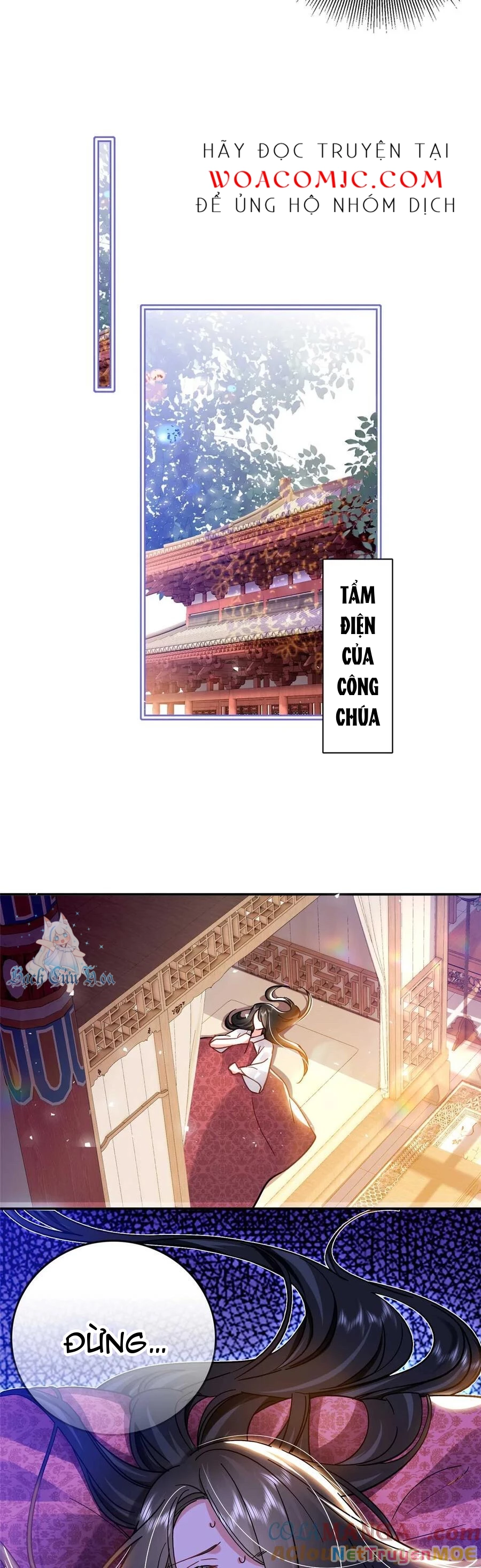 Thiều Quang Mạn Chapter 165 - 4