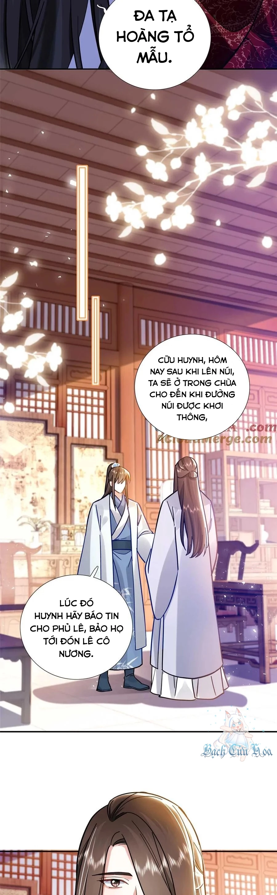 Thiều Quang Mạn Chapter 165 - 17
