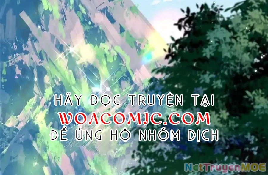 Thiều Quang Mạn Chapter 167 - 53