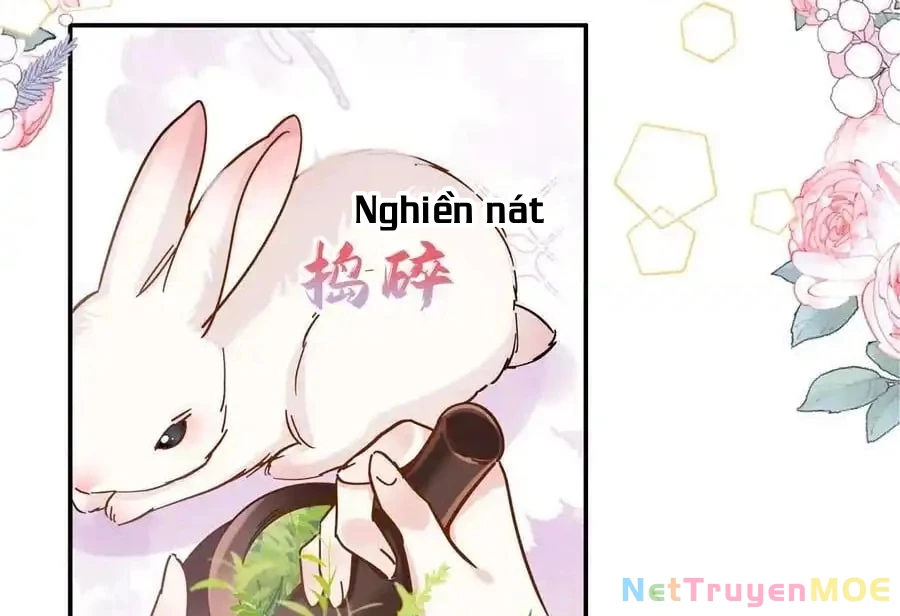 Thiều Quang Mạn Chapter 167 - 60