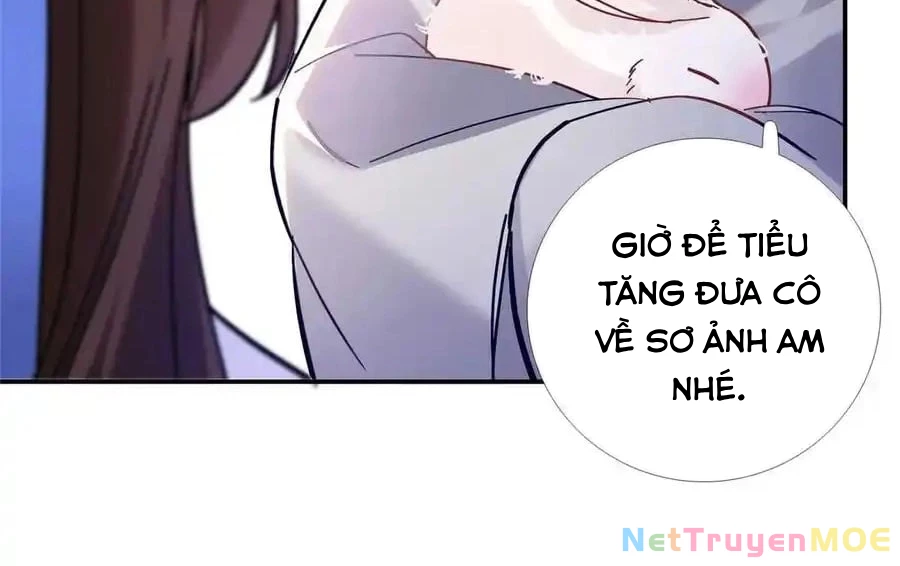 Thiều Quang Mạn Chapter 167 - 63