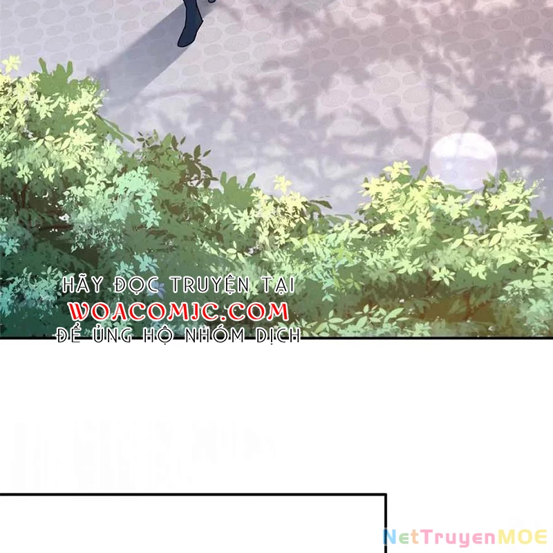 Thiều Quang Mạn Chapter 171 - 38