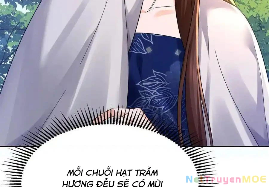 Thiều Quang Mạn Chapter 172 - 13