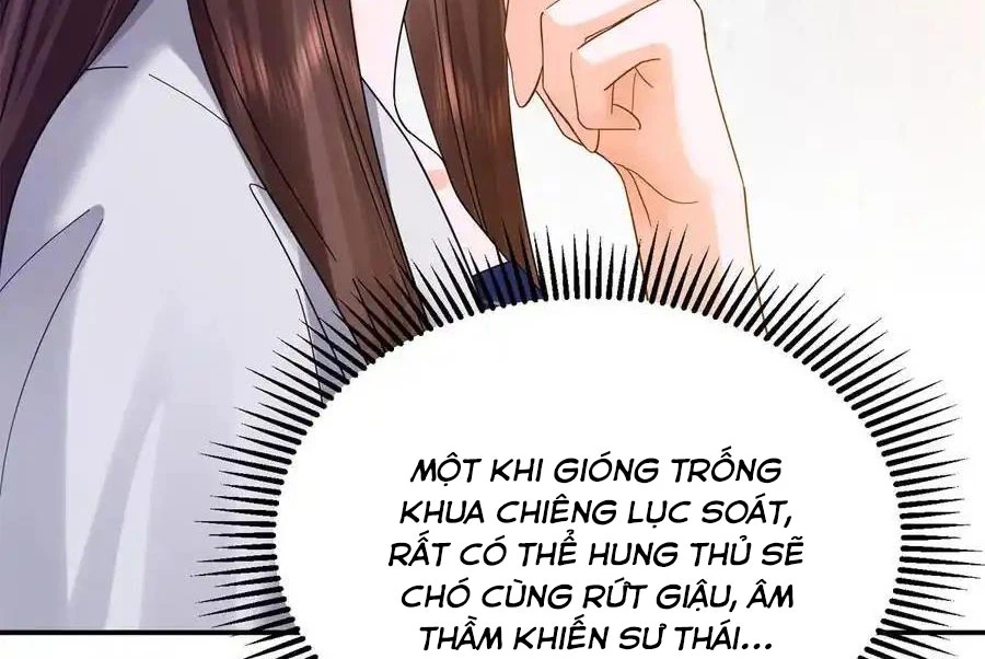 Thiều Quang Mạn Chapter 172 - 61