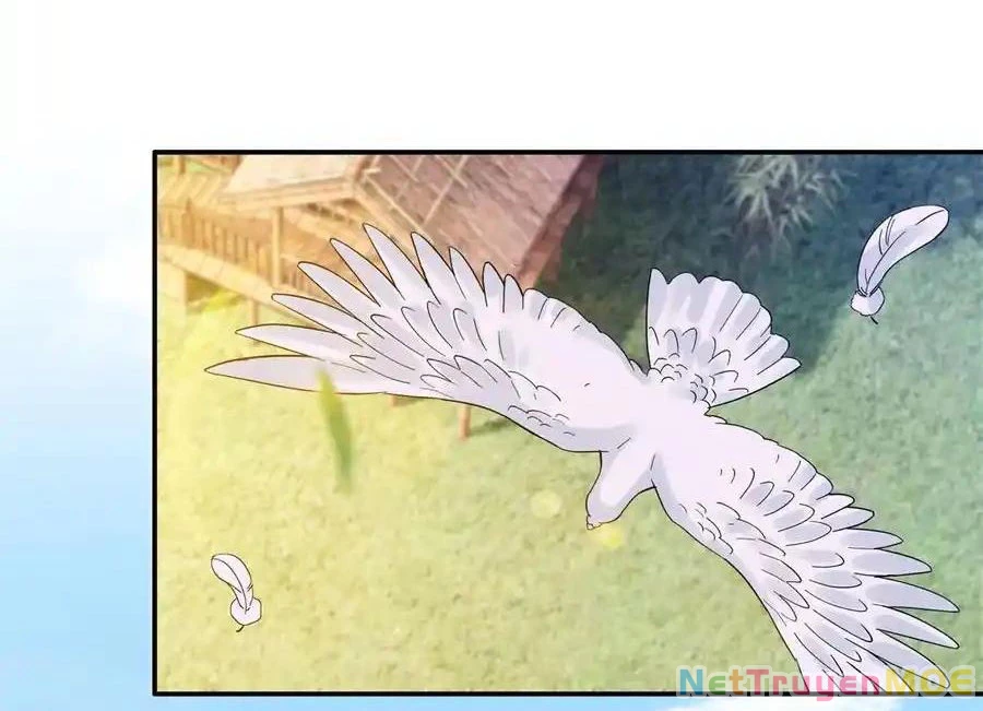 Thiều Quang Mạn Chapter 172 - 104