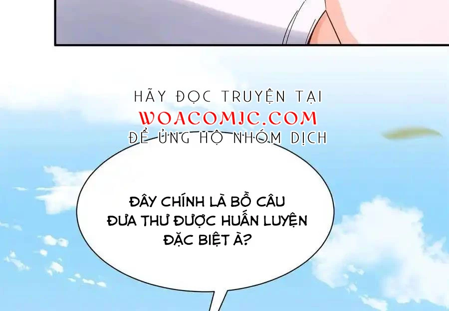 Thiều Quang Mạn Chapter 172 - 113