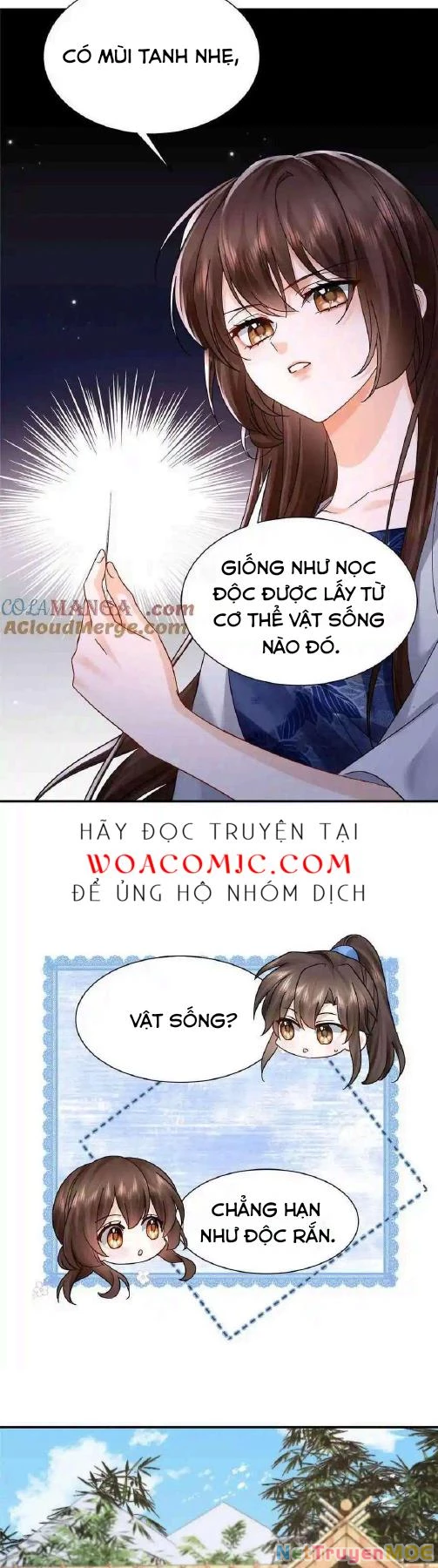Thiều Quang Mạn Chapter 173 - 12