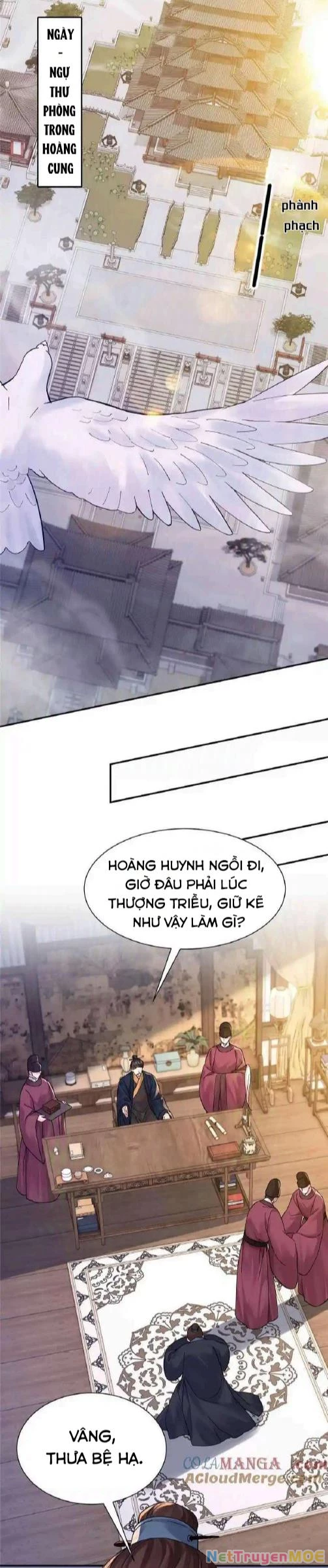 Thiều Quang Mạn Chapter 173 - 15