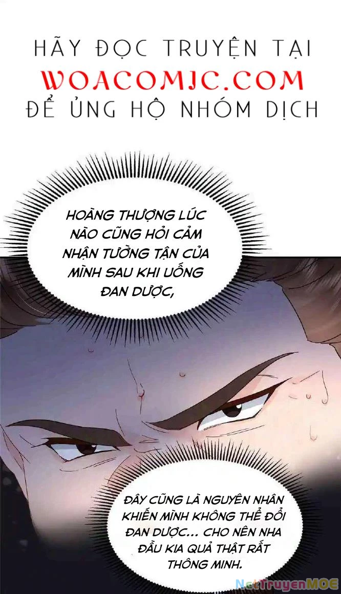 Thiều Quang Mạn Chapter 173 - 20