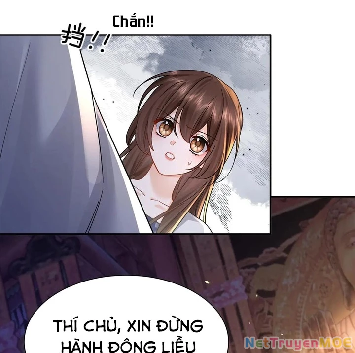 Thiều Quang Mạn Chapter 175 - 18