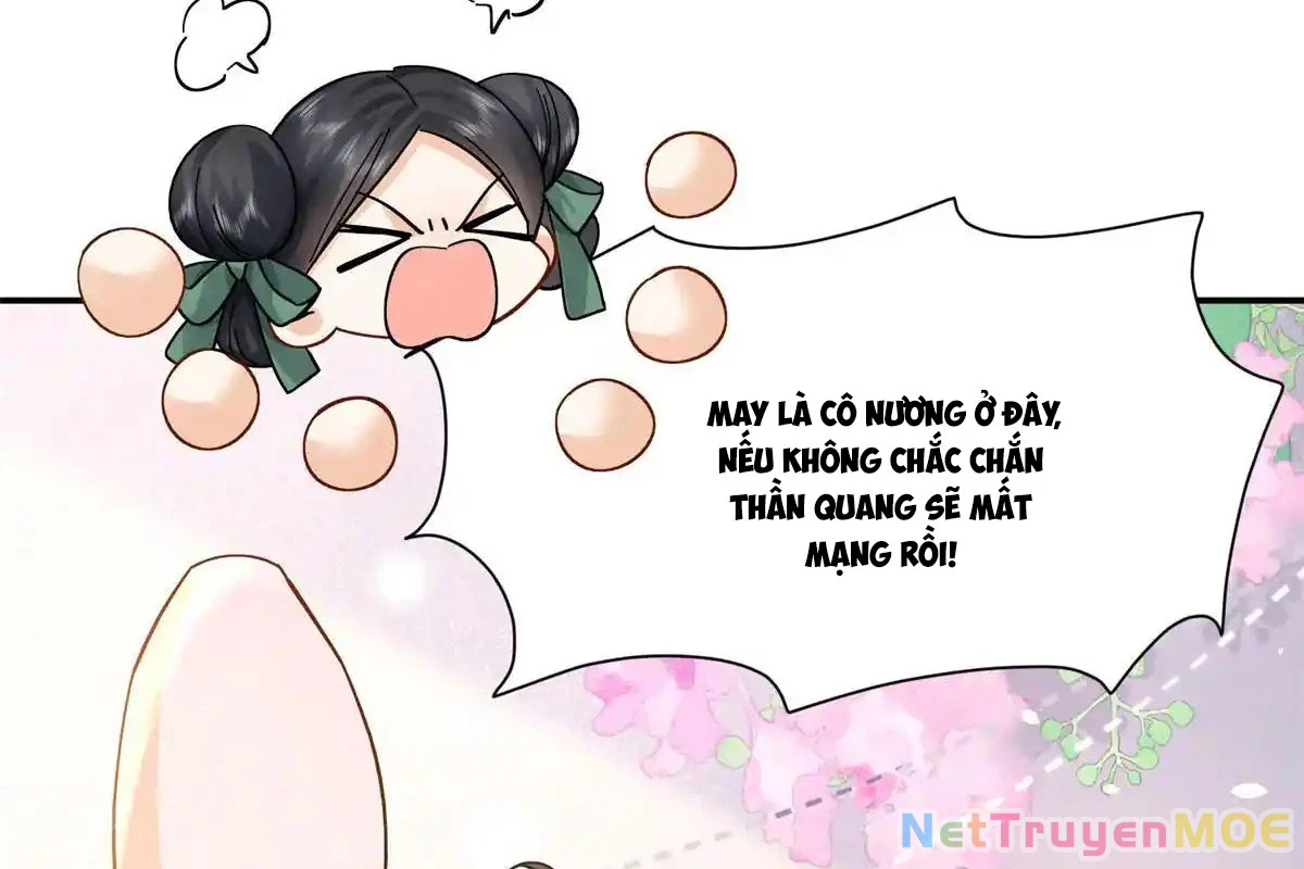 Thiều Quang Mạn Chapter 176 - 54