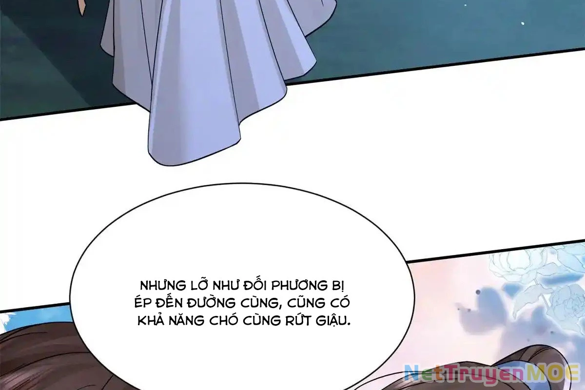 Thiều Quang Mạn Chapter 176 - 105