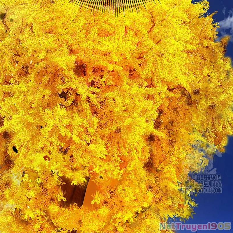 Lãng Tiên Kỳ Đàm Chapter 184 - 113