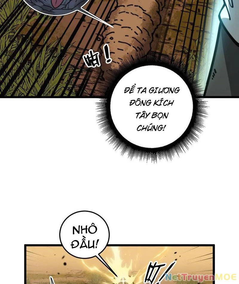 Lão xà tu tiên truyện Chapter 31 - 23