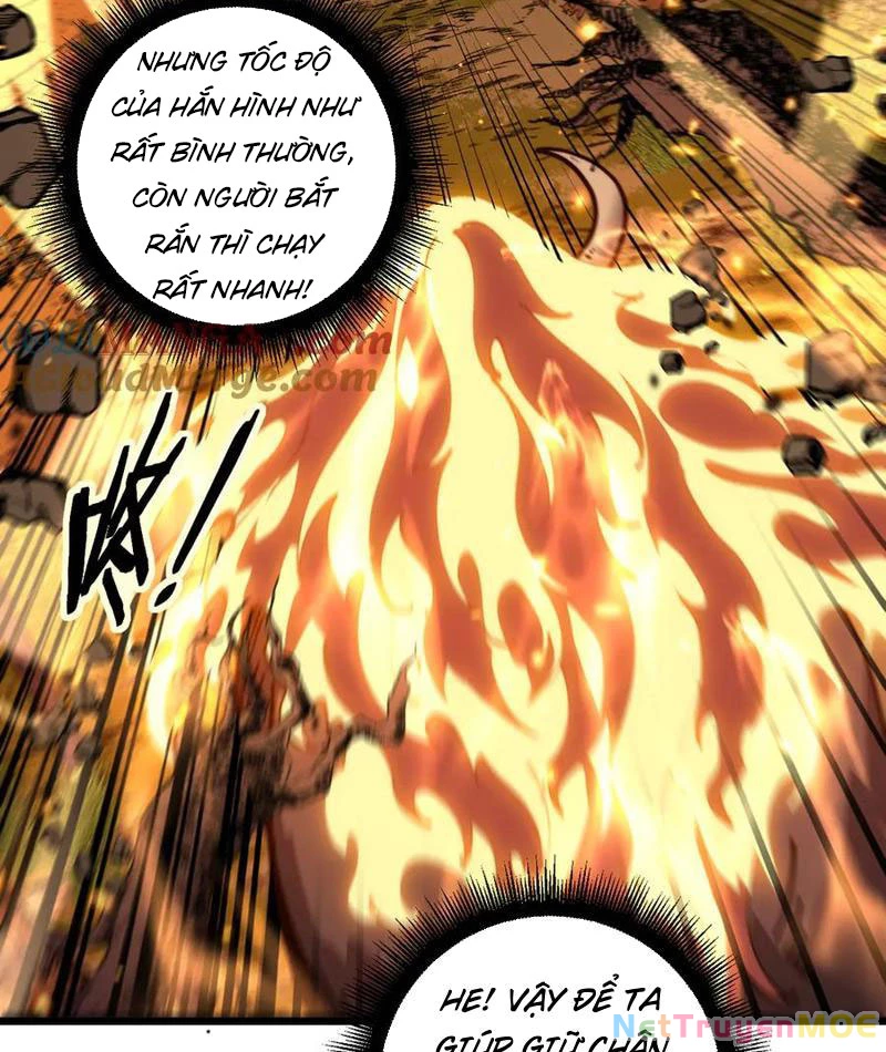 Lão xà tu tiên truyện Chapter 31 - 45
