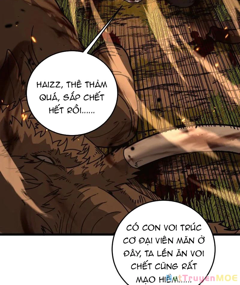 Lão xà tu tiên truyện Chapter 31 - 62