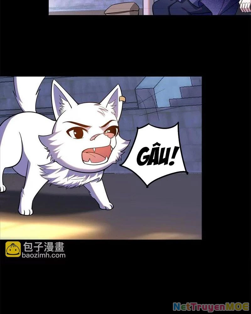 Huyễn Thú Của Ta Có Thể Tiến Hóa Vô Hạn Chapter 22 - 38