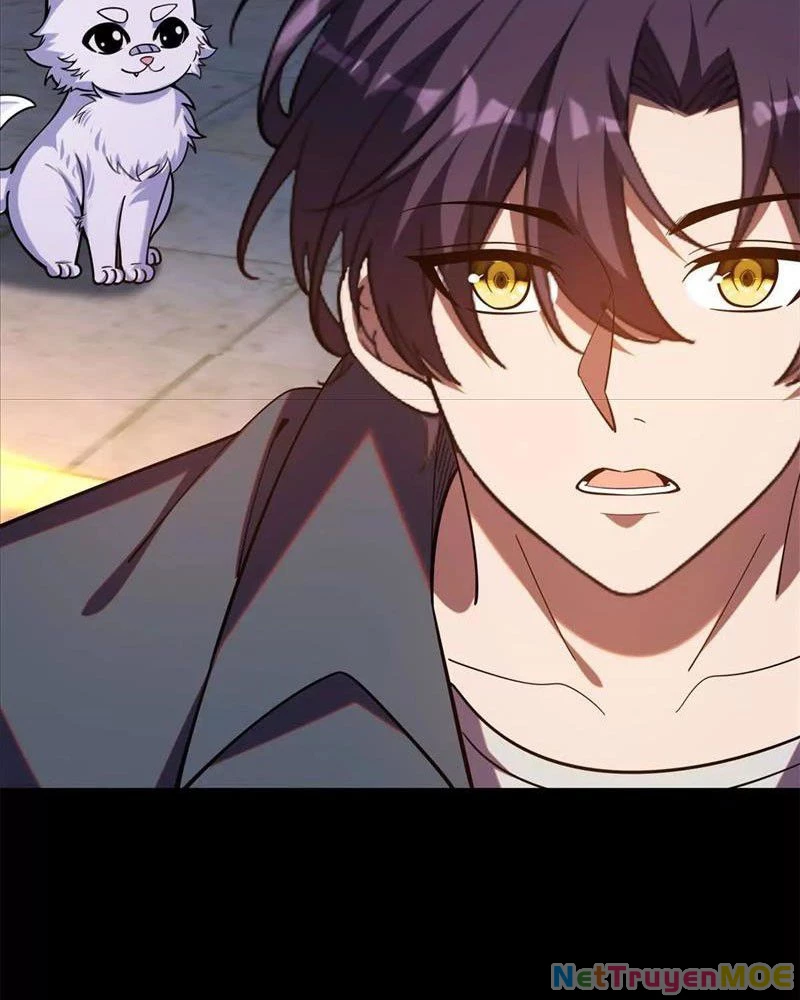 Huyễn Thú Của Ta Có Thể Tiến Hóa Vô Hạn Chapter 22 - 46