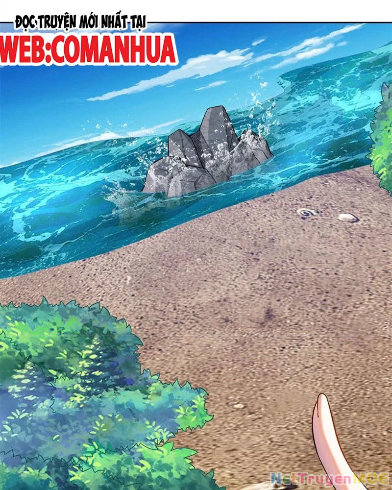 Huyễn Thú Của Ta Có Thể Tiến Hóa Vô Hạn Chapter 24 - 30