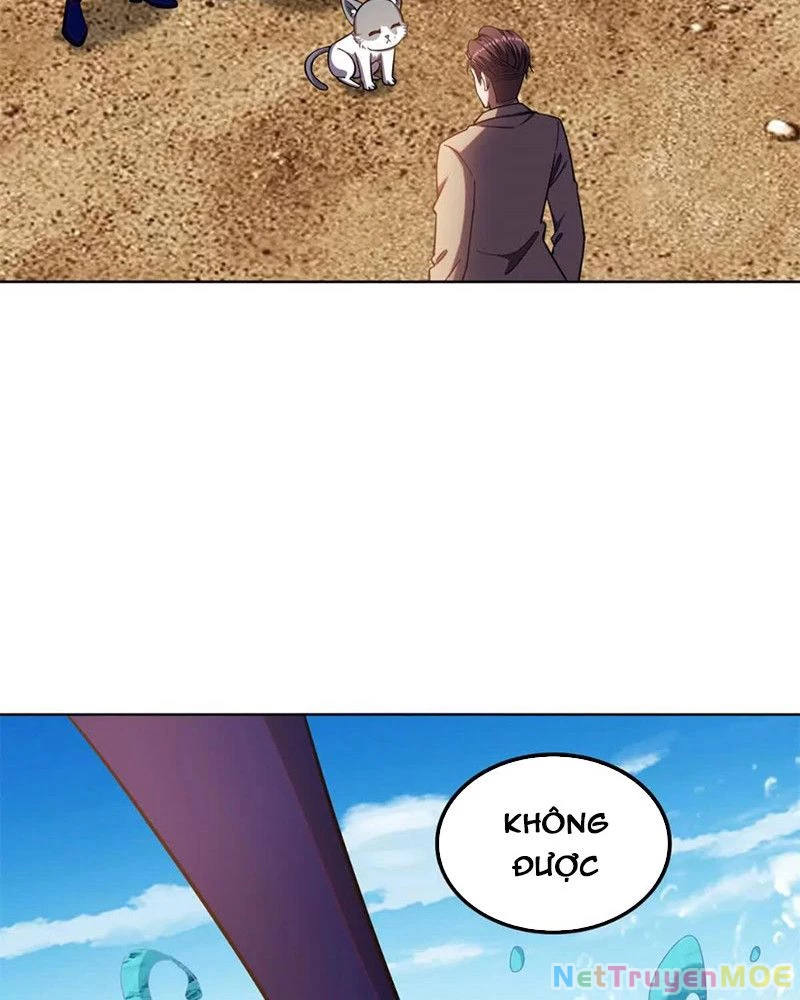 Huyễn Thú Của Ta Có Thể Tiến Hóa Vô Hạn Chapter 24 - 43