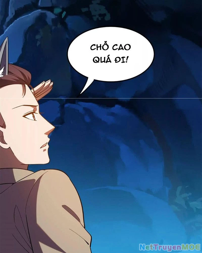 Huyễn Thú Của Ta Có Thể Tiến Hóa Vô Hạn Chapter 24 - 63