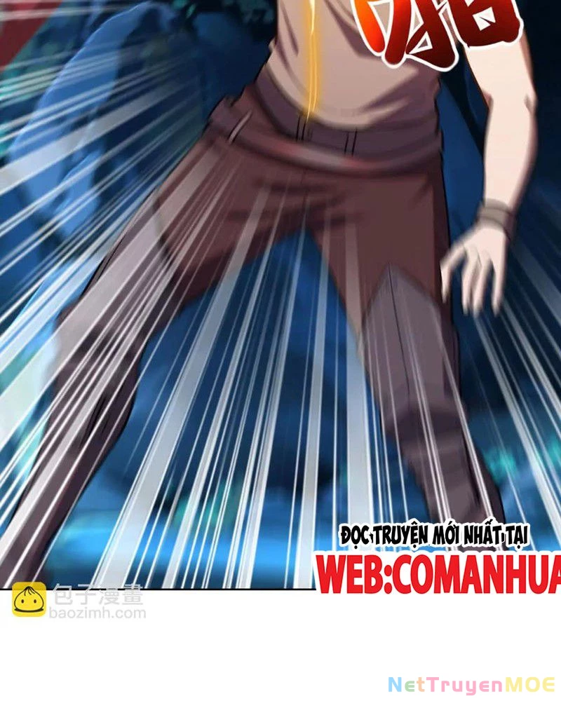 Huyễn Thú Của Ta Có Thể Tiến Hóa Vô Hạn Chapter 24 - 78