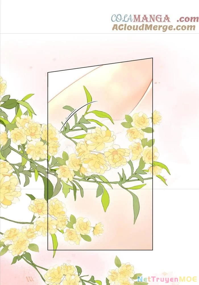 Em Chỉ Có Thể Là Của Tôi Chapter 131 - 33