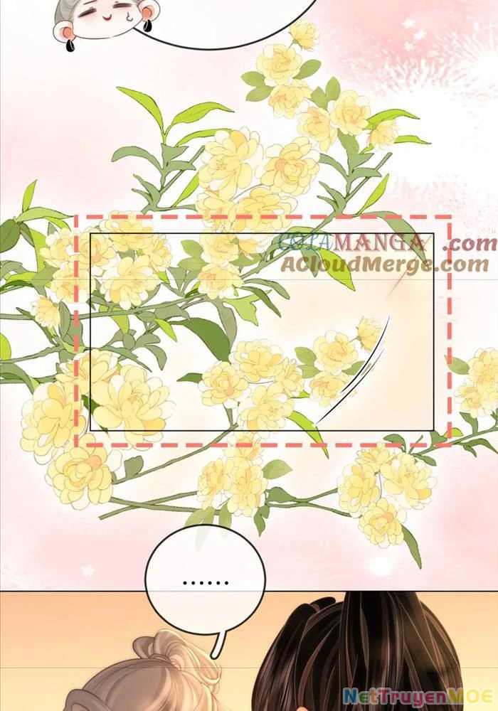 Em Chỉ Có Thể Là Của Tôi Chapter 131 - 36