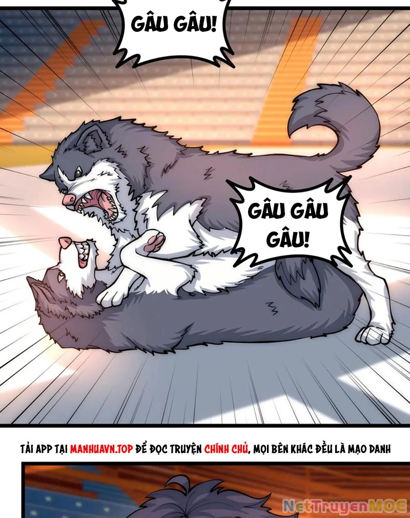 Slime ta treo cự long lên đánh là hợp lý nhỉ? Chapter 305 - 11