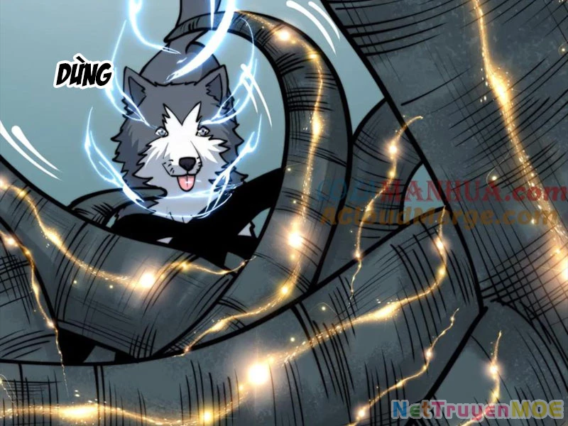 Slime ta treo cự long lên đánh là hợp lý nhỉ? Chapter 319 - 4
