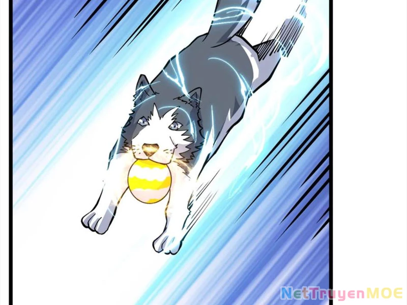 Slime ta treo cự long lên đánh là hợp lý nhỉ? Chapter 319 - 38