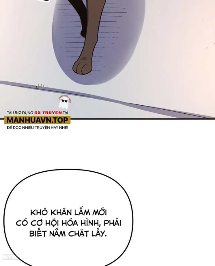 Nguyên Lai Ta Là Tu Tiên Đại Lão Chapter 542 - 8