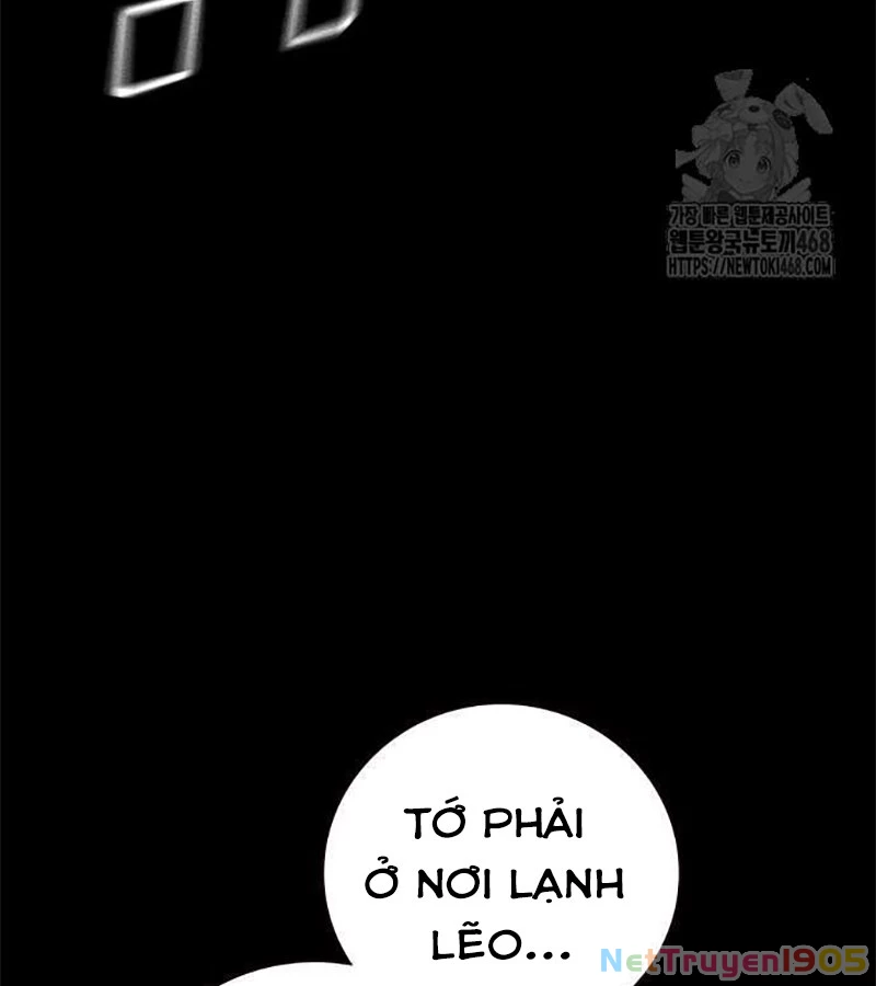 Nhà Tù Vị Thành Niên Chapter 42 - 69