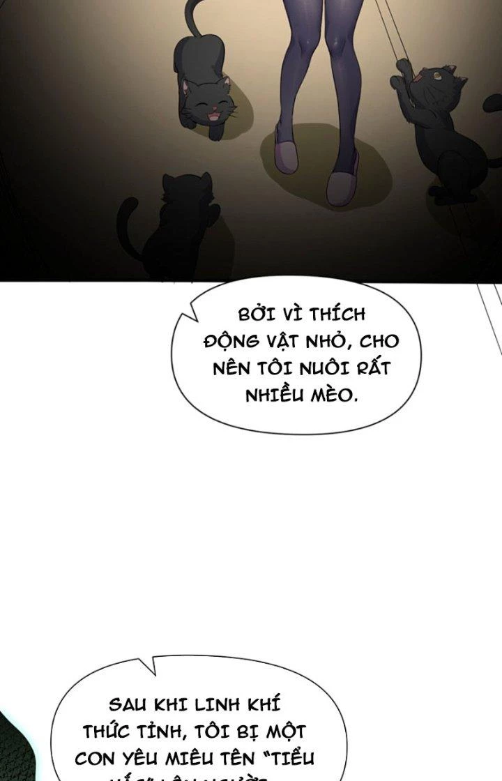 Ta Gặp Linh Khí Khôi Phục Giả Chapter 4 - 62
