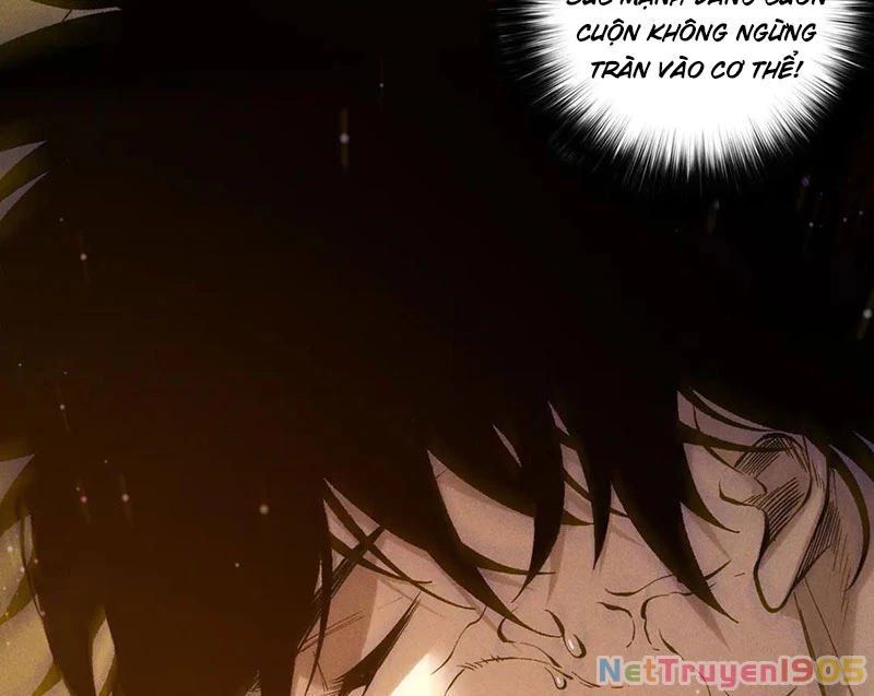 Thảm Họa Tử Linh Sư Chapter 164 - 75