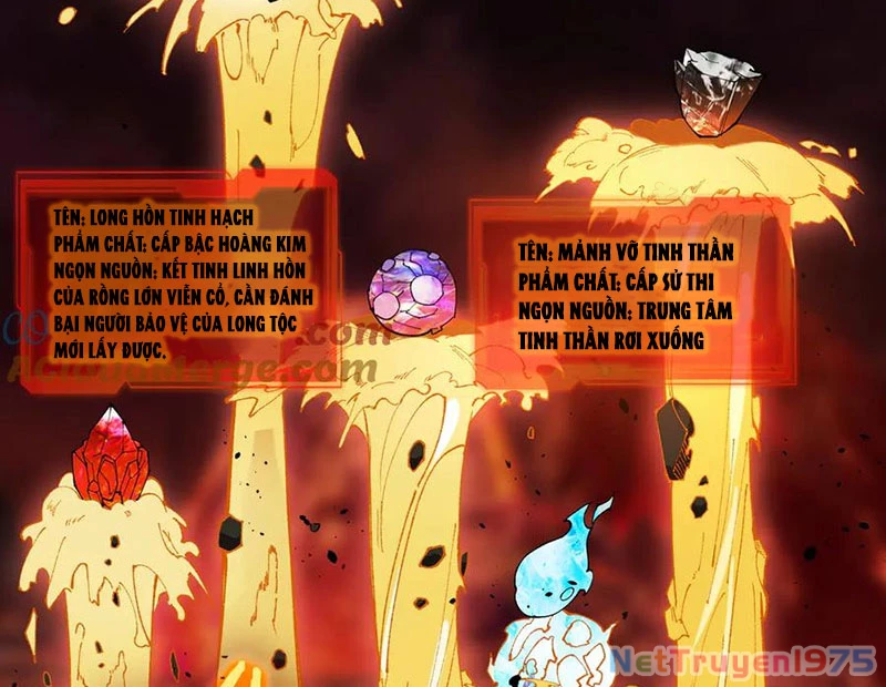 Thánh Hiệp Sĩ Cấp Sss Chapter 64 - 20