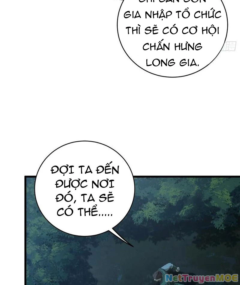 Đại Thừa Kỳ Mới Có Nghịch Tập Hệ Thống Chapter 57 - 83