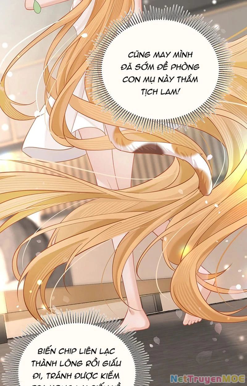 Thưa Ngài, Đuôi Của Ngài Không Giấu Được Nữa Rồi Chapter 3 - 21