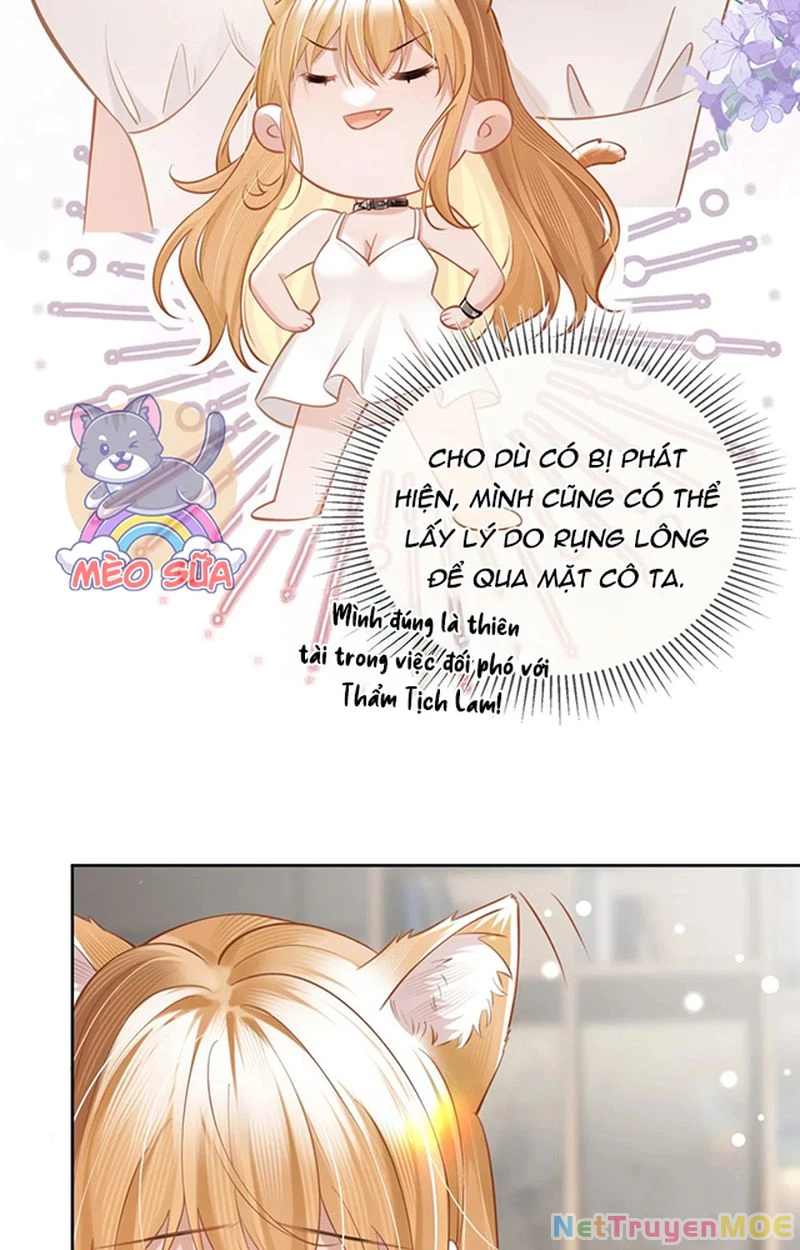 Thưa Ngài, Đuôi Của Ngài Không Giấu Được Nữa Rồi Chapter 3 - 24
