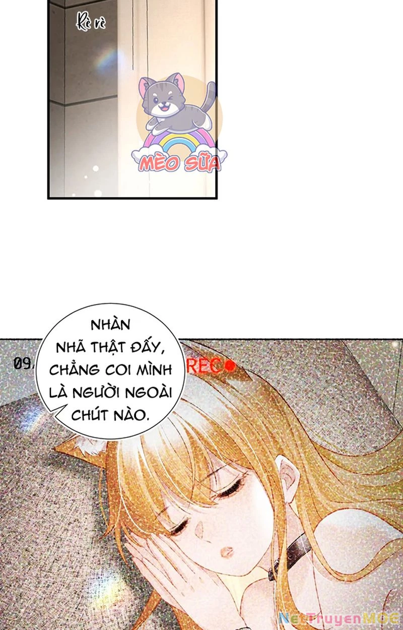 Thưa Ngài, Đuôi Của Ngài Không Giấu Được Nữa Rồi Chapter 3 - 30