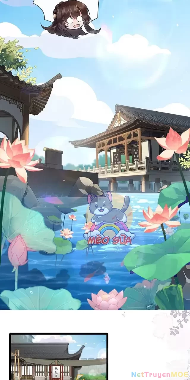 Không Biết Bệ Hạ Là Một Tiểu Cô Nương Chapter 32 - 17