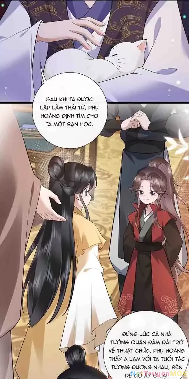 Không Biết Bệ Hạ Là Một Tiểu Cô Nương Chapter 34 - 8