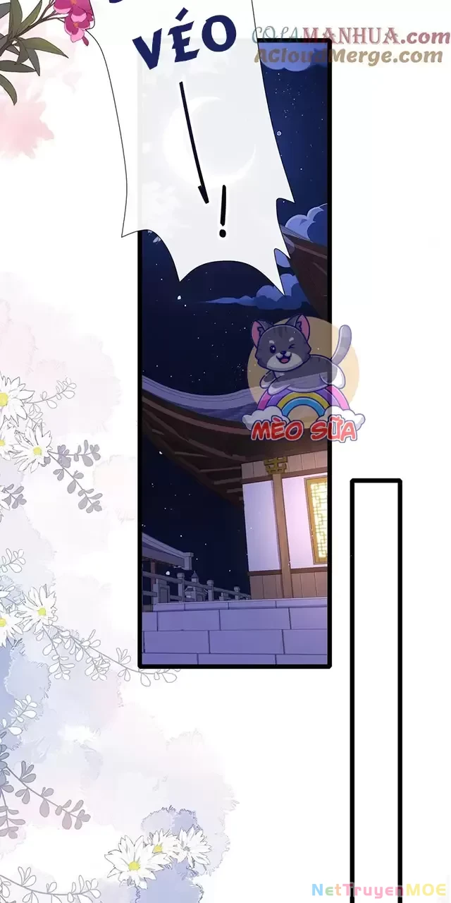 Không Biết Bệ Hạ Là Một Tiểu Cô Nương Chapter 35 - 22