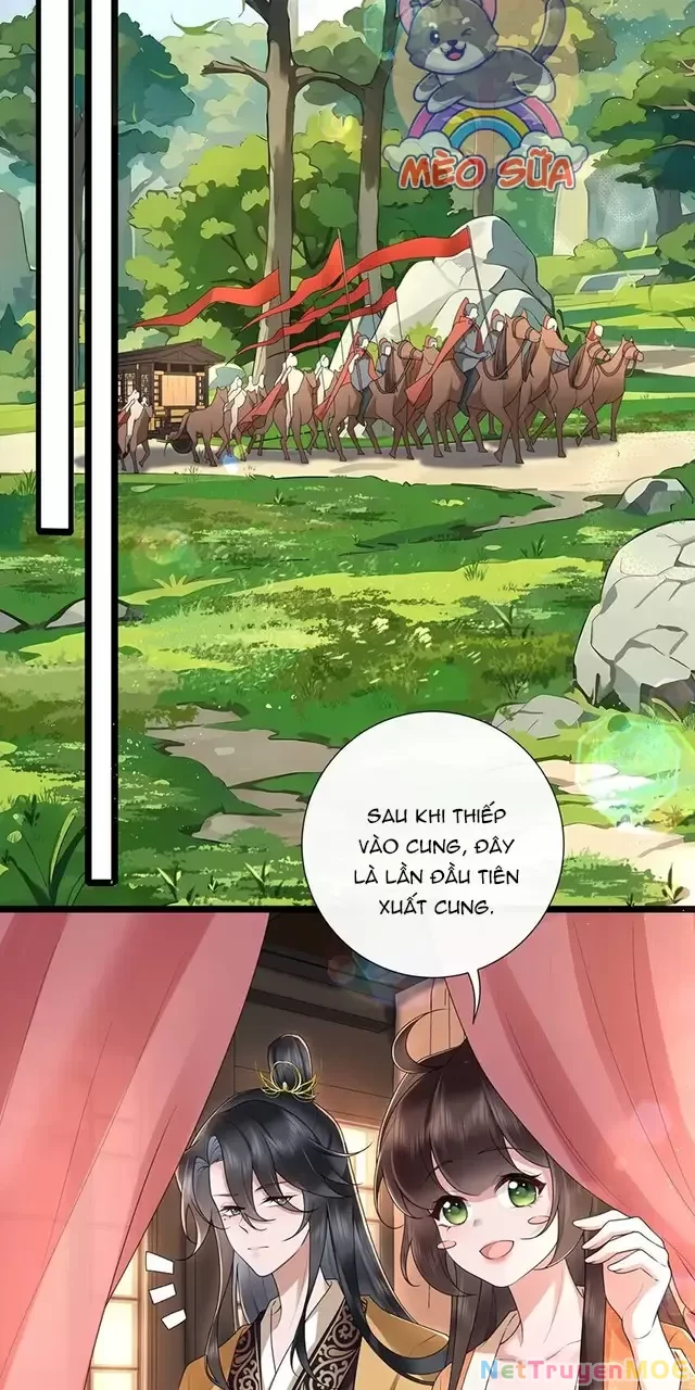 Không Biết Bệ Hạ Là Một Tiểu Cô Nương Chapter 39 - 6
