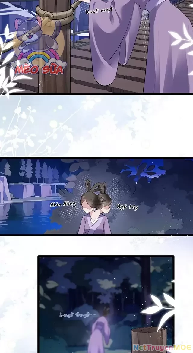Không Biết Bệ Hạ Là Một Tiểu Cô Nương Chapter 39 - 16